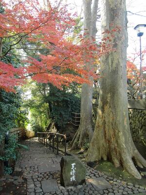 上から見た天神坂の写真