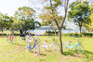 自転車の集合写真